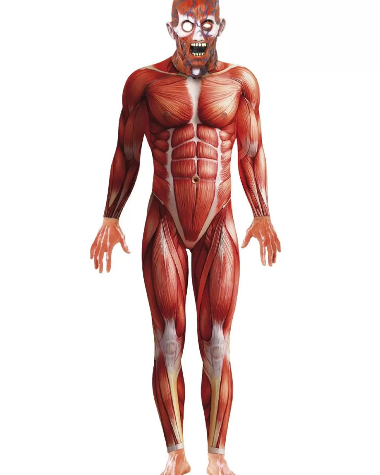 Smiffys Anatomy Man Mens Costume>Men Men's Costumes