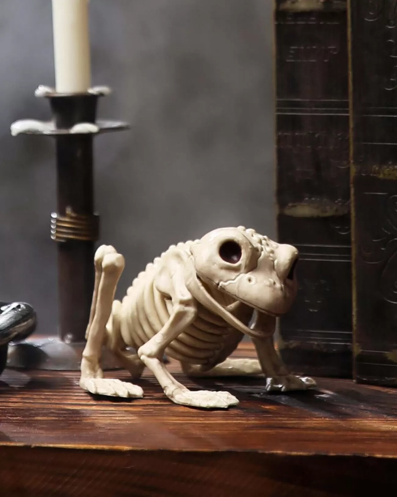 Buy Seasons Frog Skeleton> Halloween Accessories