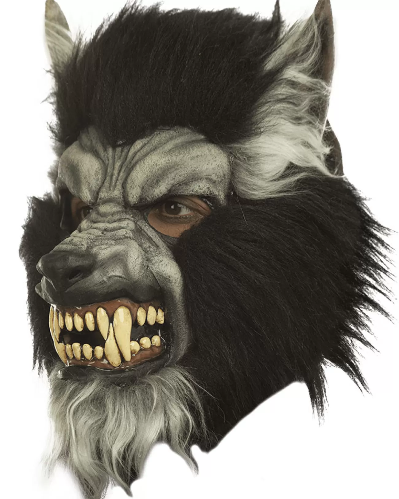 Ghoulish Productions Gray Howling Werewolf Deluxe Mask> Halloween Masks