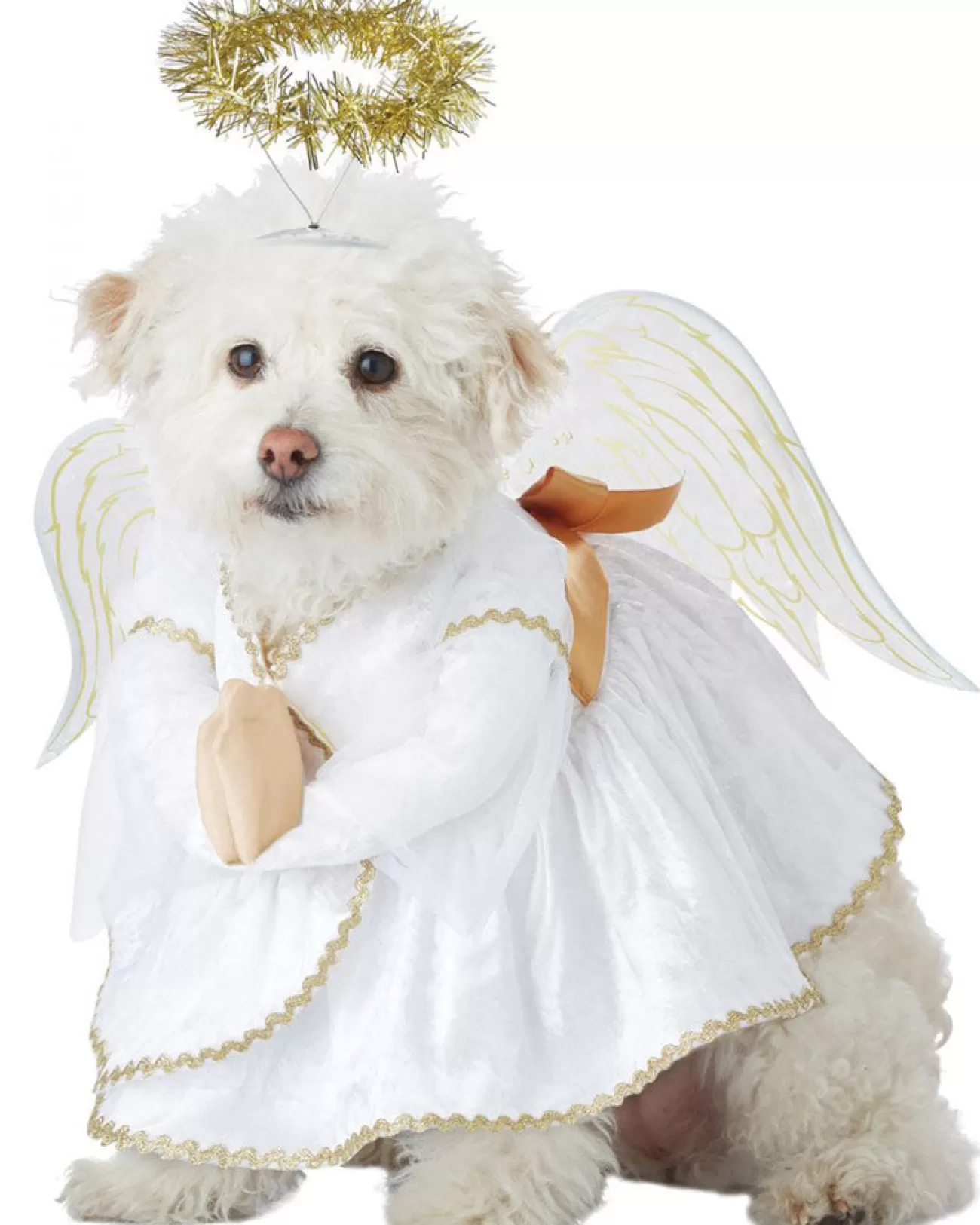 California Costumes Heavenly Hound Pet Costume> Devils &Amp; Angels