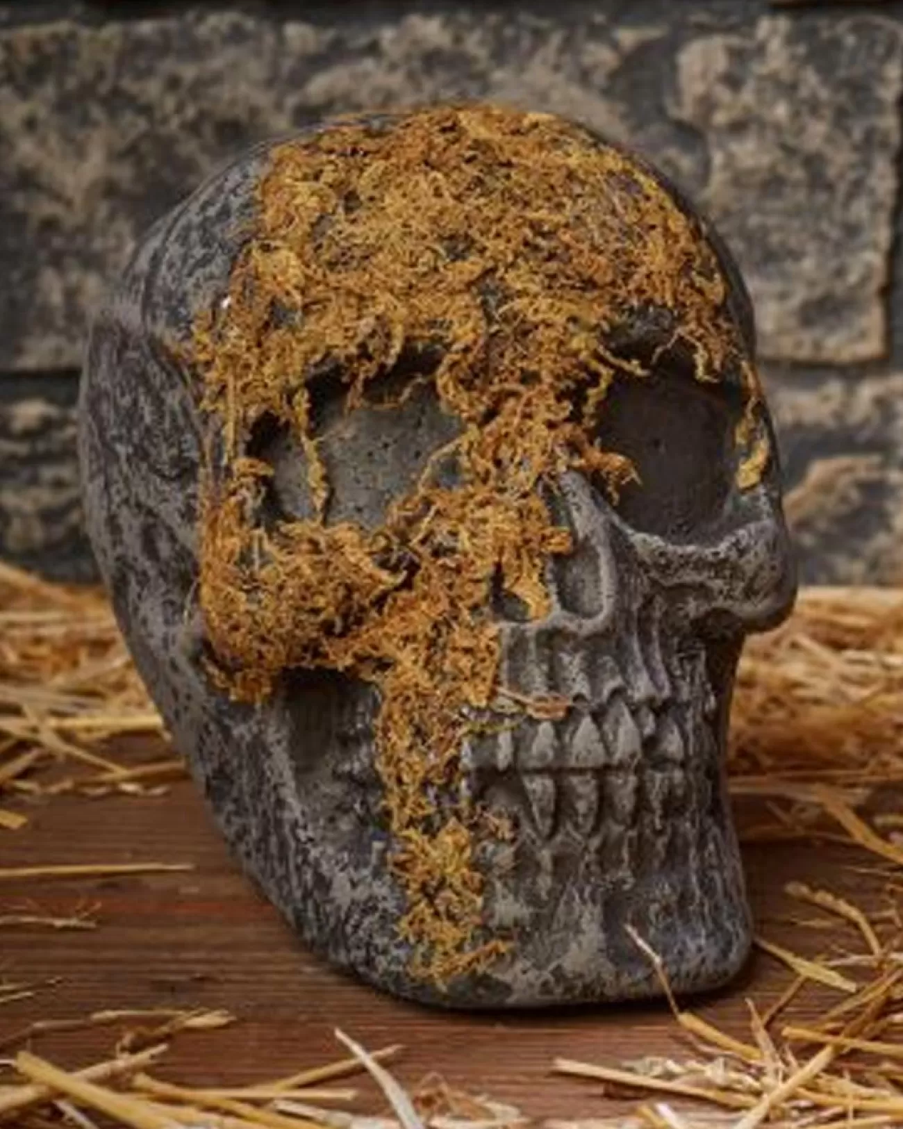 Fun World Jaw Moss Covered Skull> Scary Skeletons