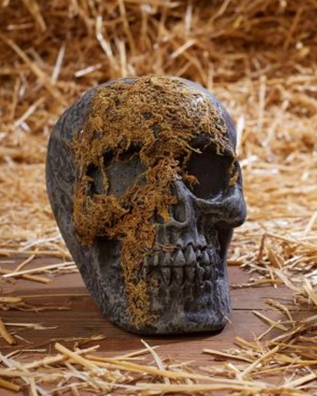 Fun World Jaw Moss Covered Skull> Scary Skeletons