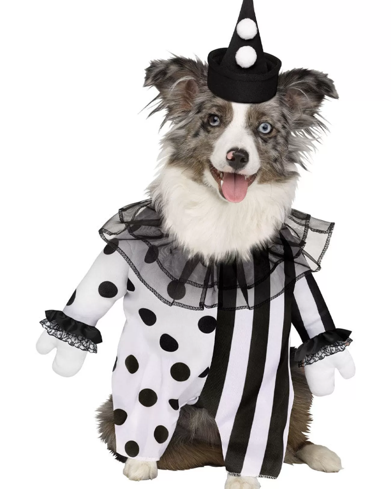 Fun World Killer Clown Pet Costume> Creepy