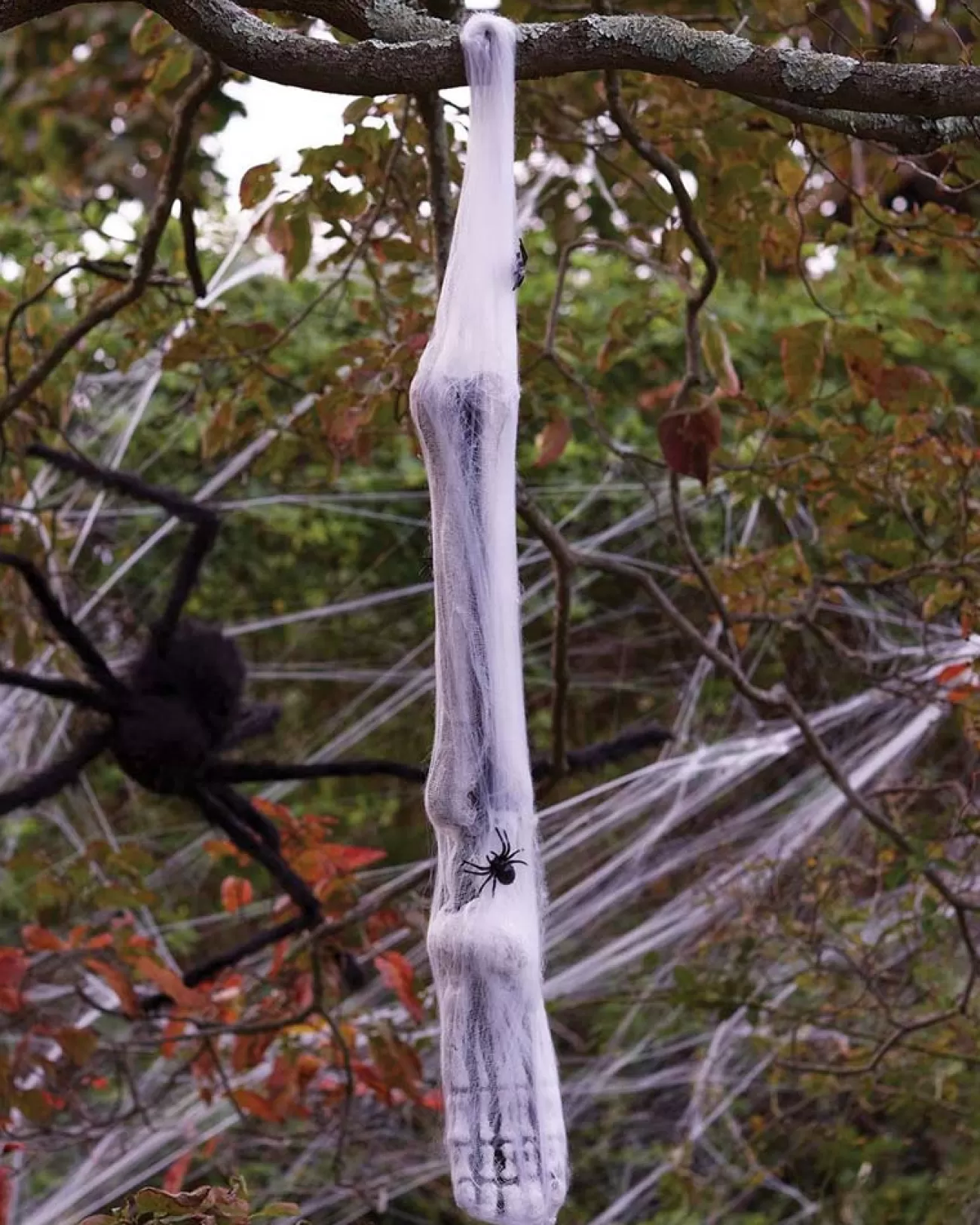 Fun World Leg And Foot Spider Cocoon Limb> Scary Skeletons