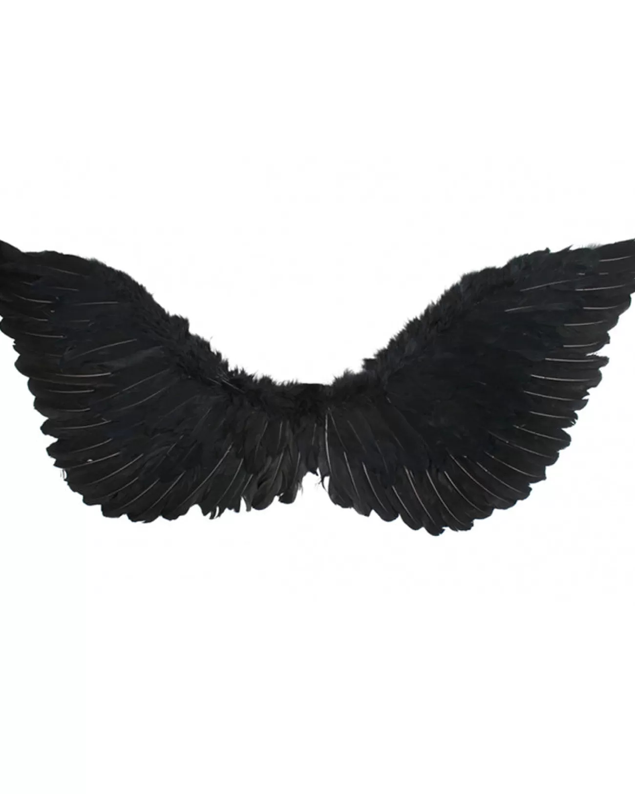 Tomfoolery Medium Black Feather Wings> Halloween Accessories