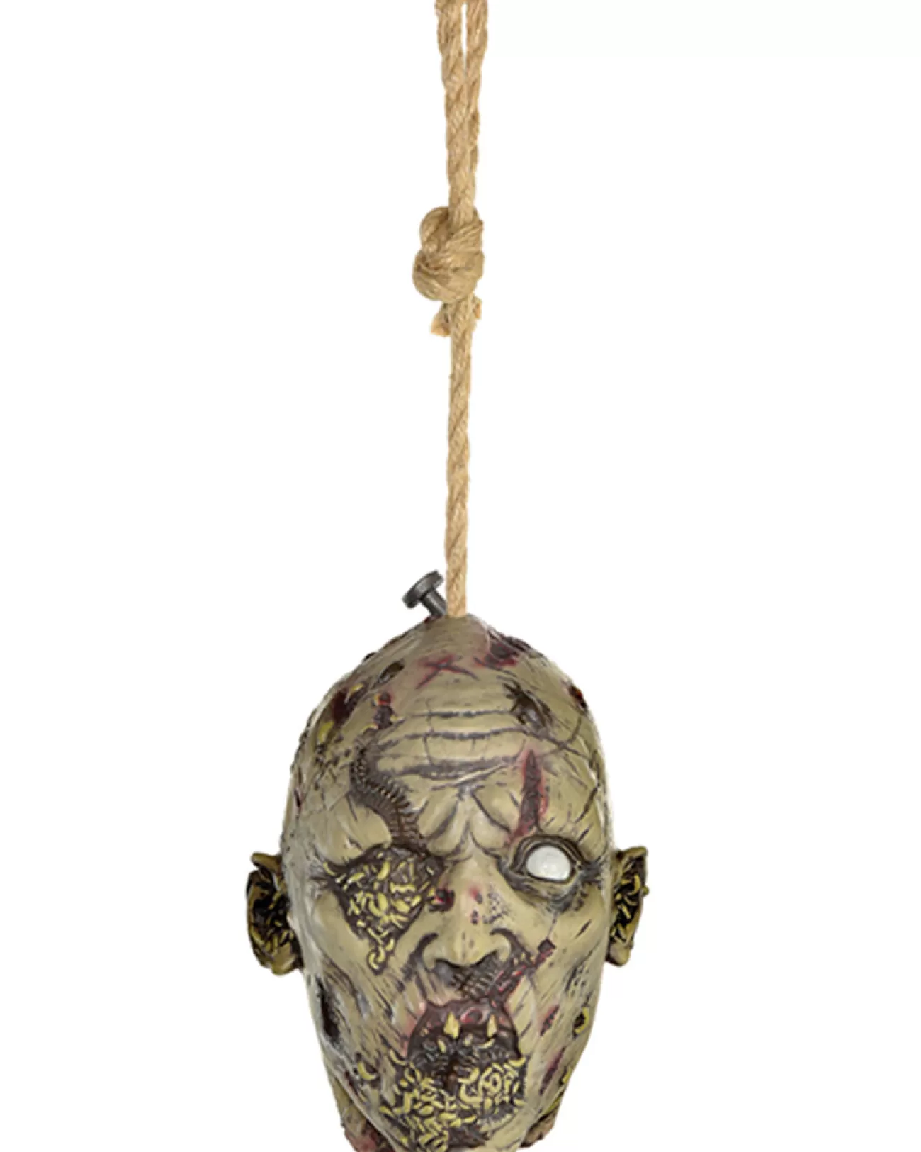 Amscan AU Pest Infested Hanging Head Decoration> Zombie Apocolypse