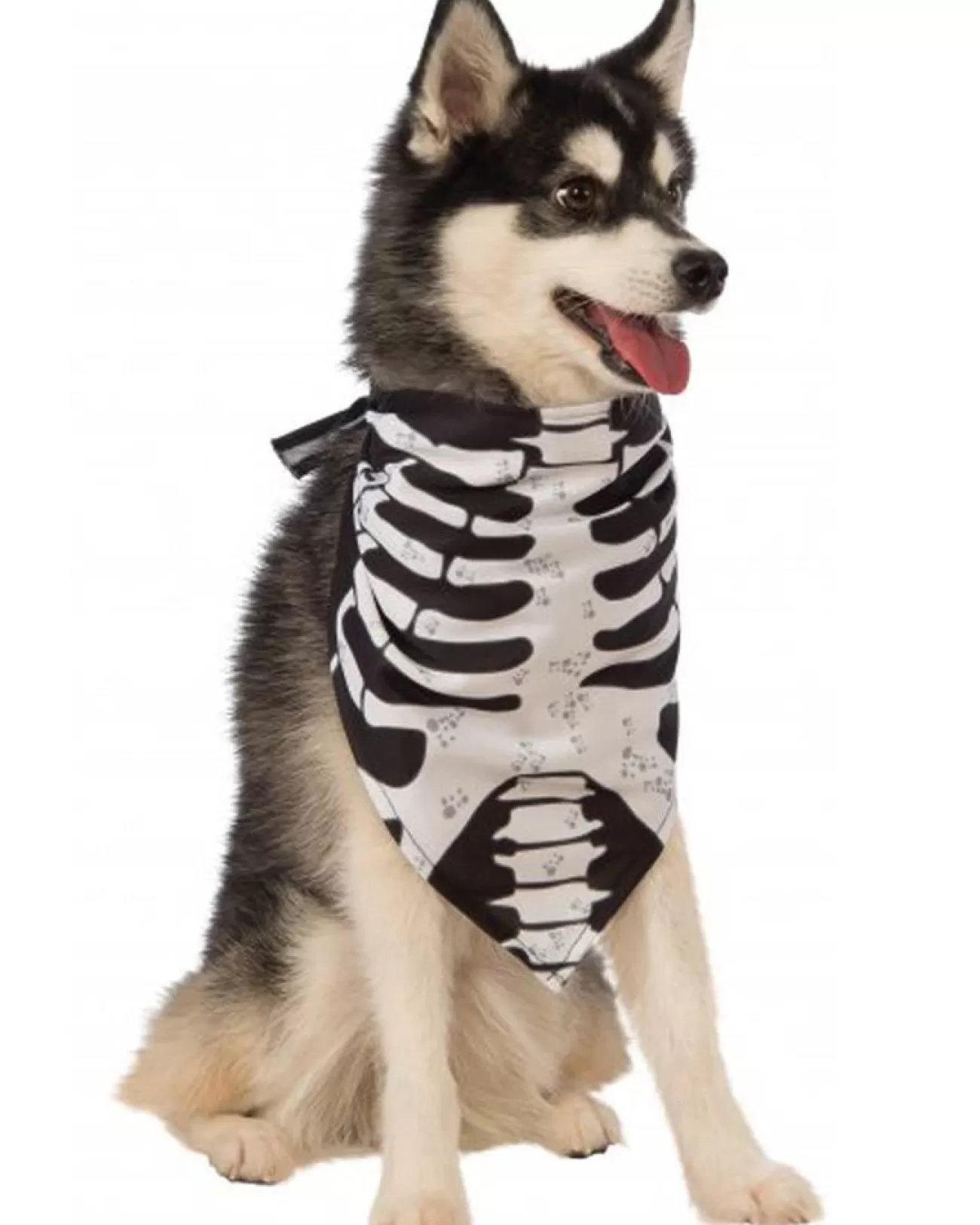 Rubies Pet Skeleton Bandana> Scary Skeletons