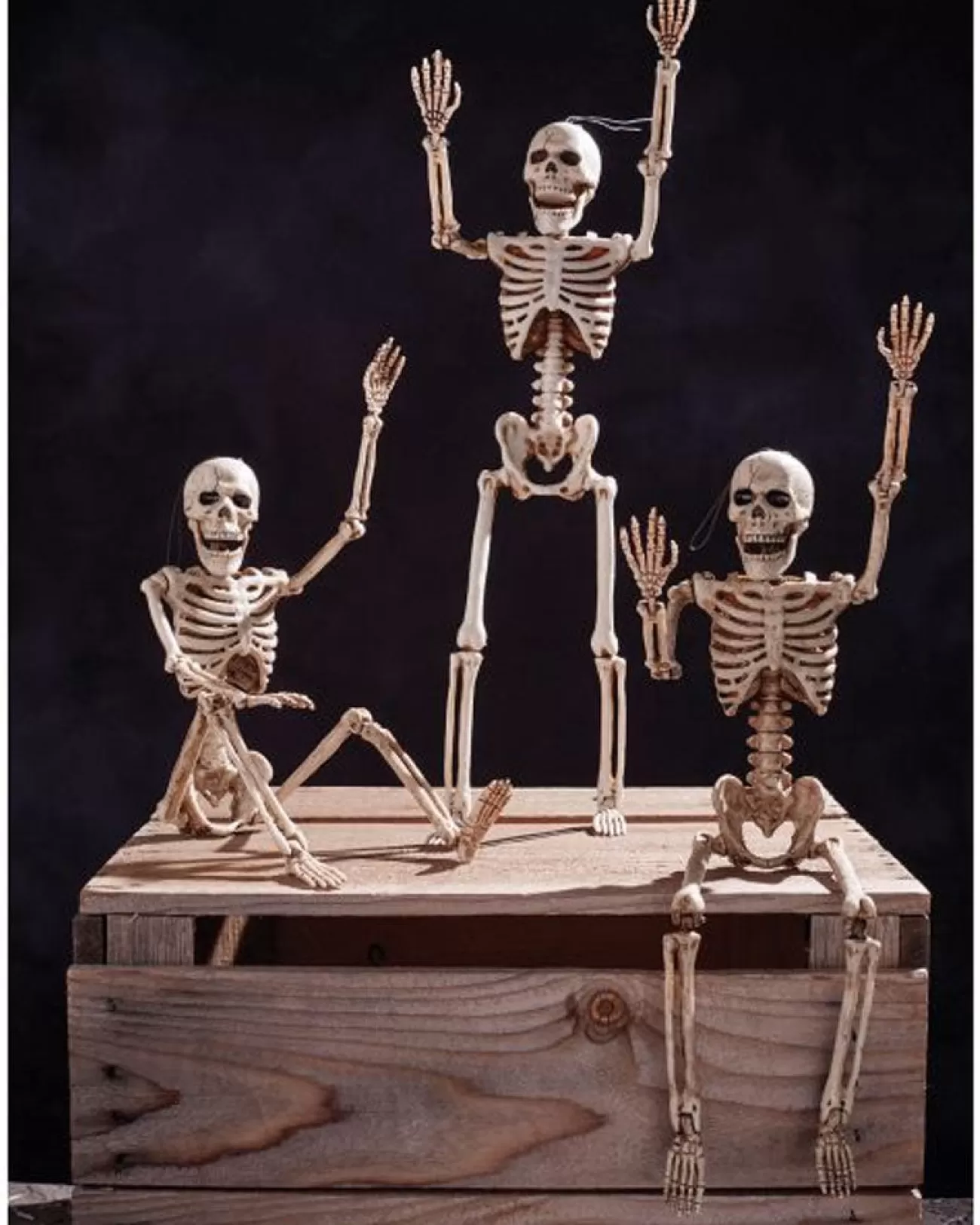 Fun World Posable Skeleton 36Cm> Scary Skeletons