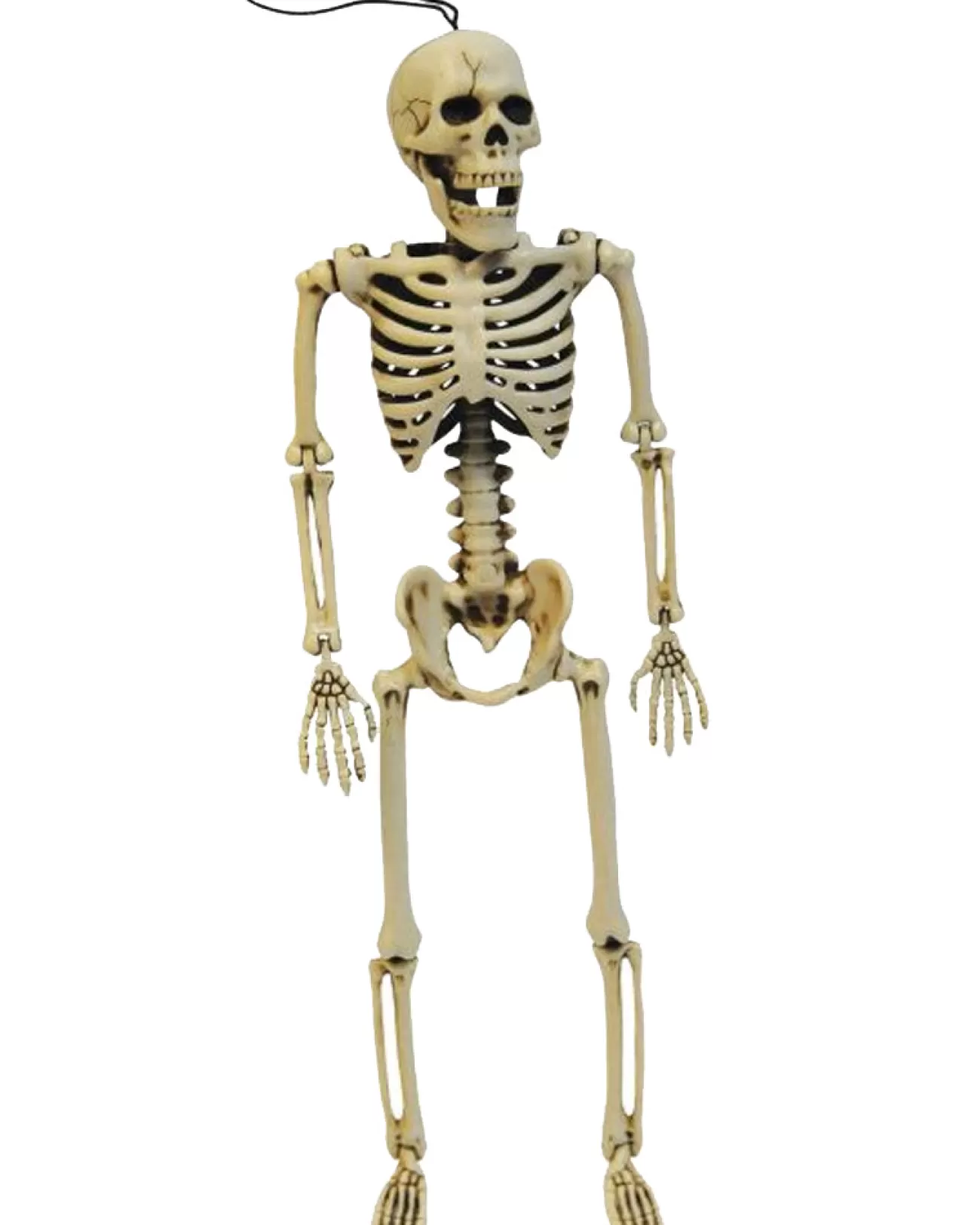 Fun World Posable Skeleton 36Cm> Scary Skeletons