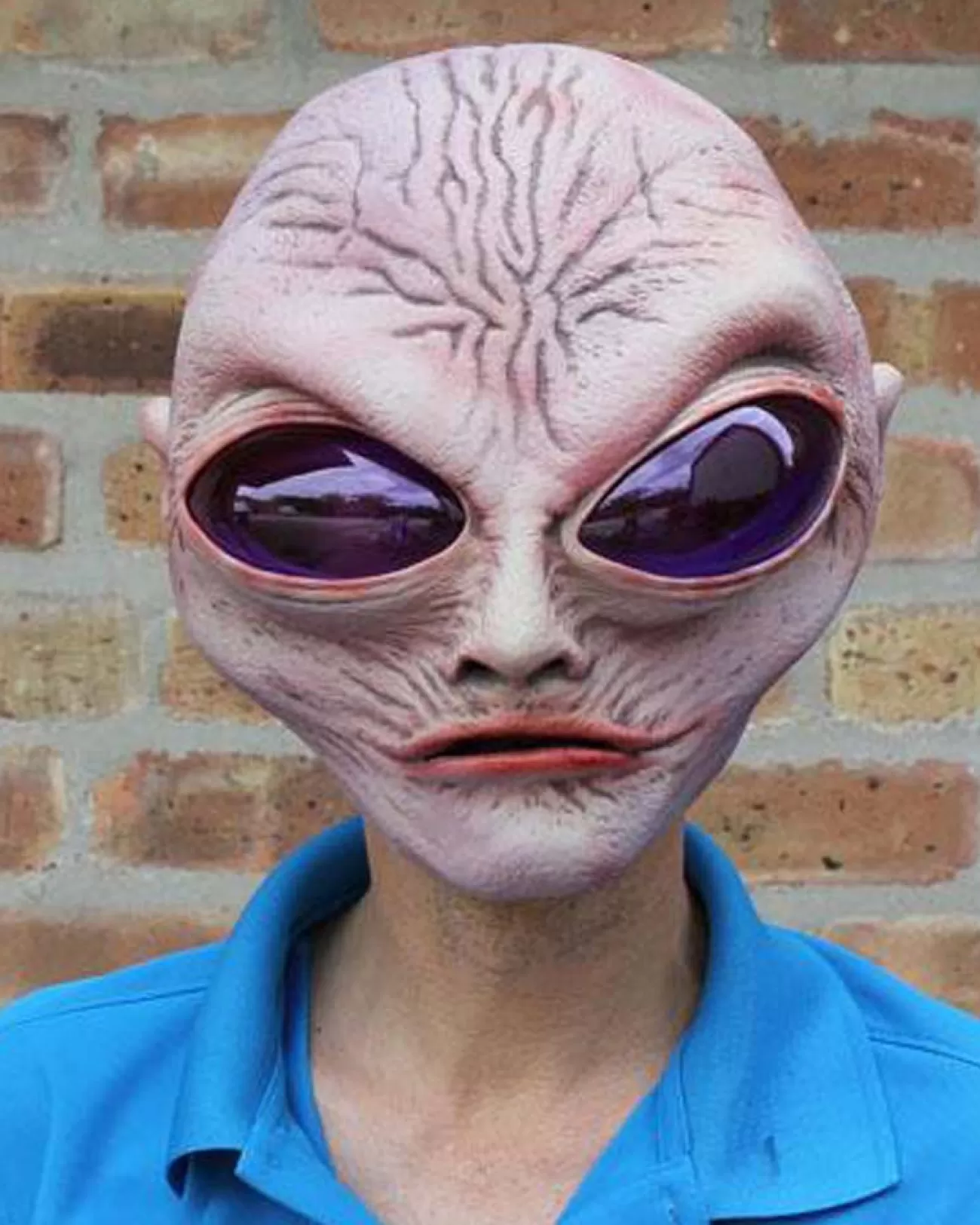 Zagone Studios Premium Grey Alien Mask> Halloween Masks