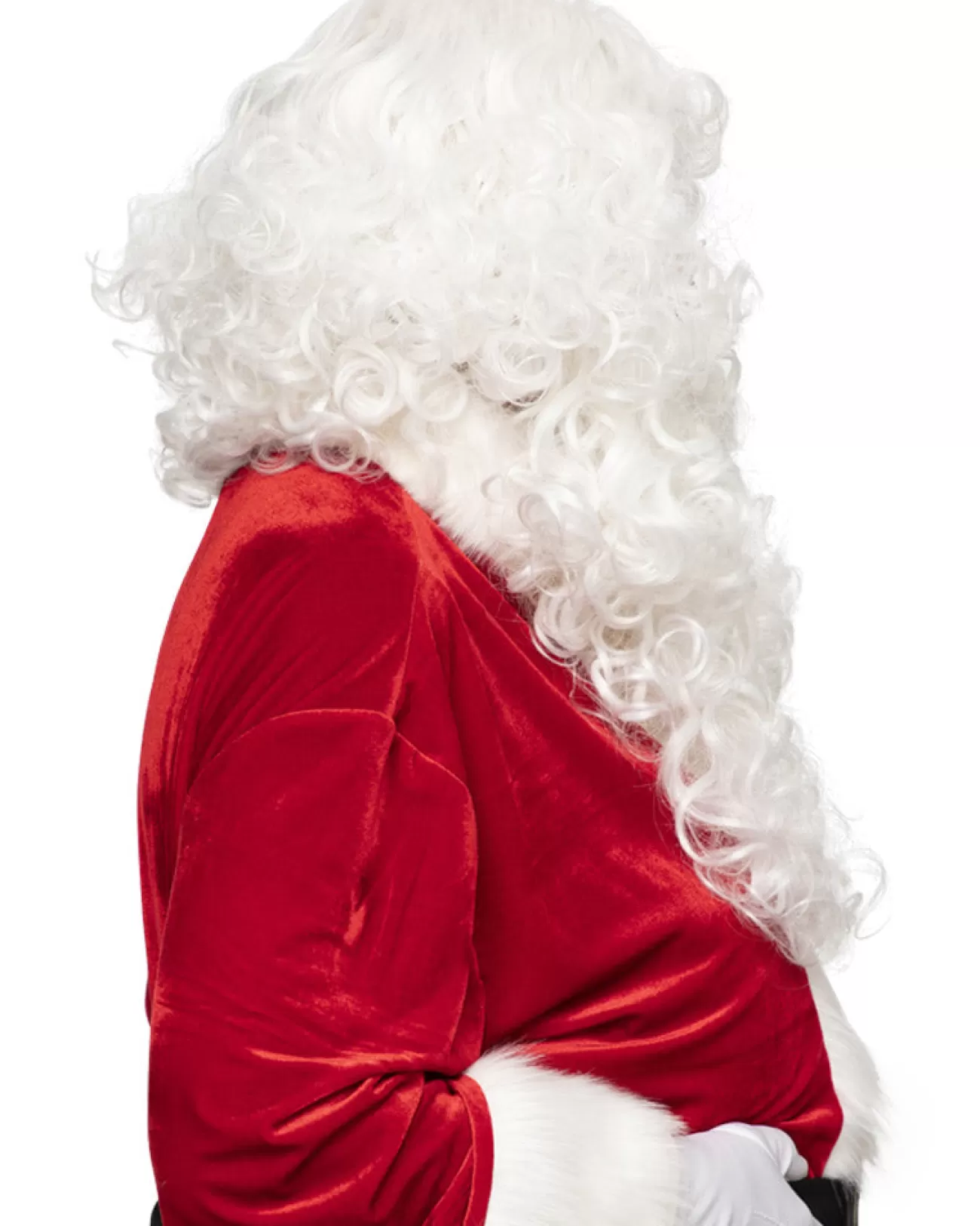 * Santa Professional Wig And Beard Set> Halloween Wigs