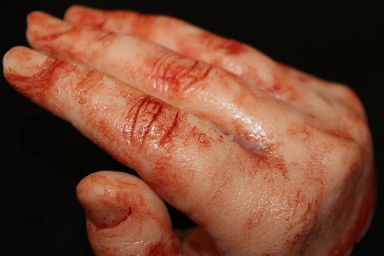 ForensicFX Studios Severed Half-Hand Prop> Halloween Accessories