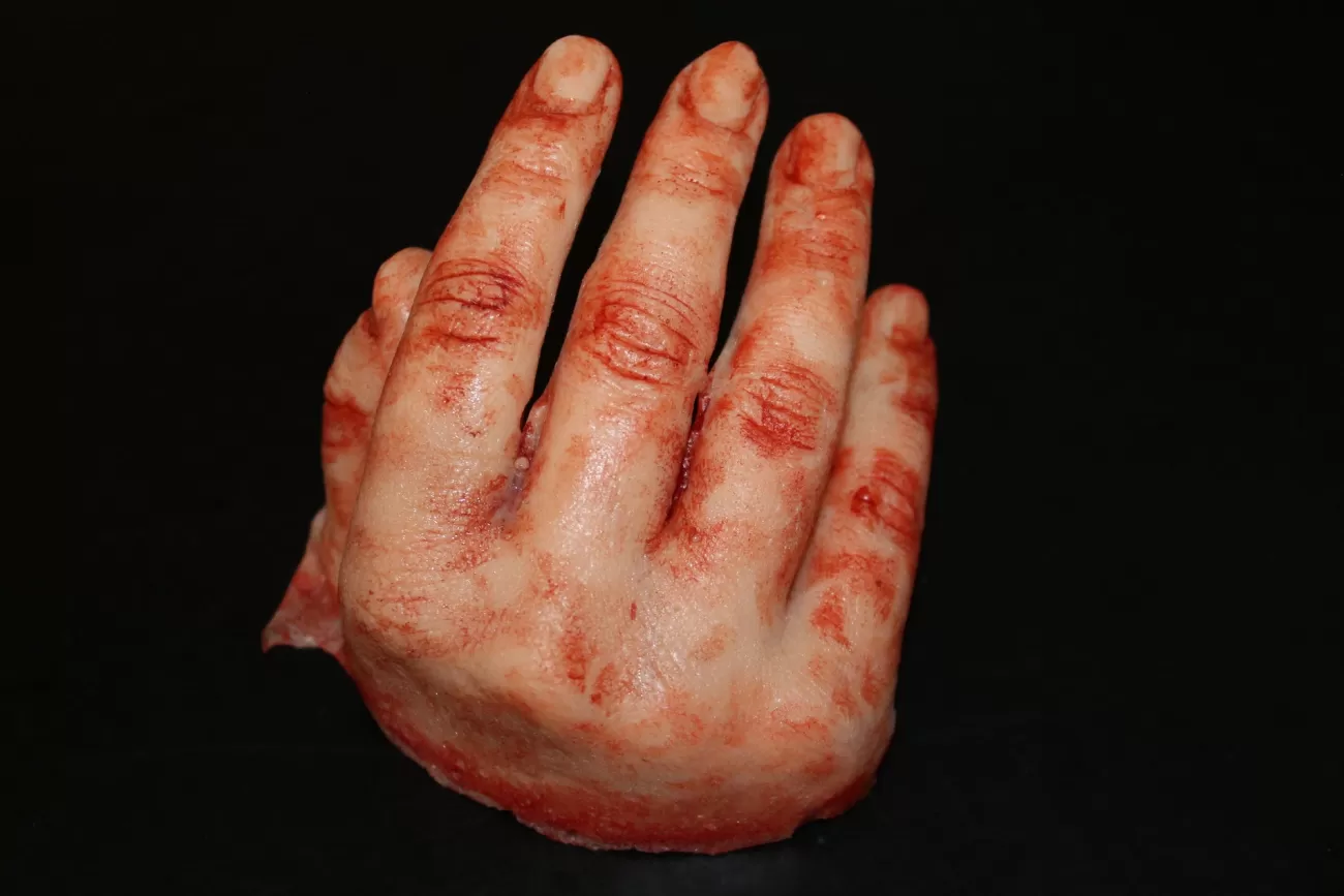 ForensicFX Studios Severed Half-Hand Prop> Halloween Accessories