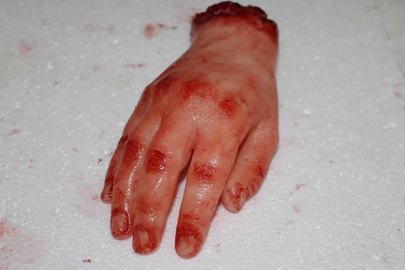 ForensicFX Studios Severed Hand Prop> Halloween Accessories