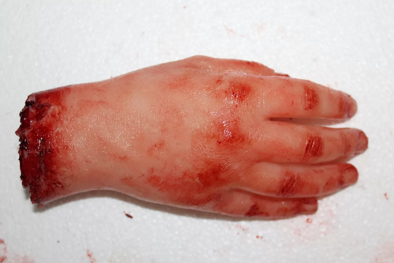 ForensicFX Studios Severed Hand Prop> Halloween Accessories