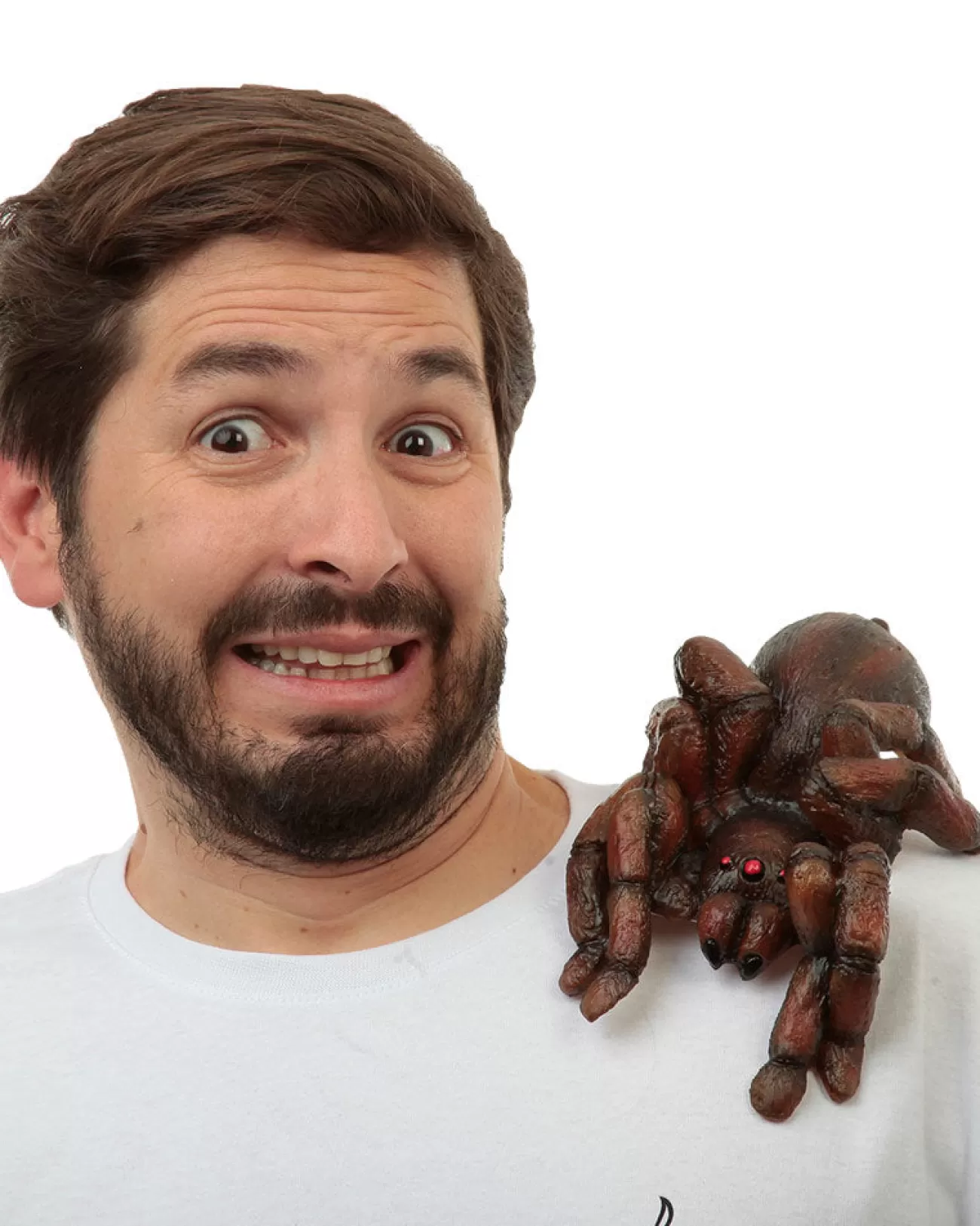 Ghoulish Productions Shoulder Buddy Tarantula> Halloween Accessories