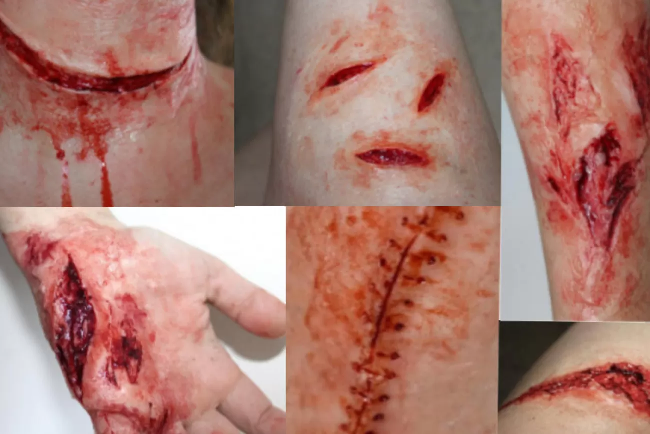 ForensicFX Studios Simple Prosthetics Bundle> Halloween Accessories