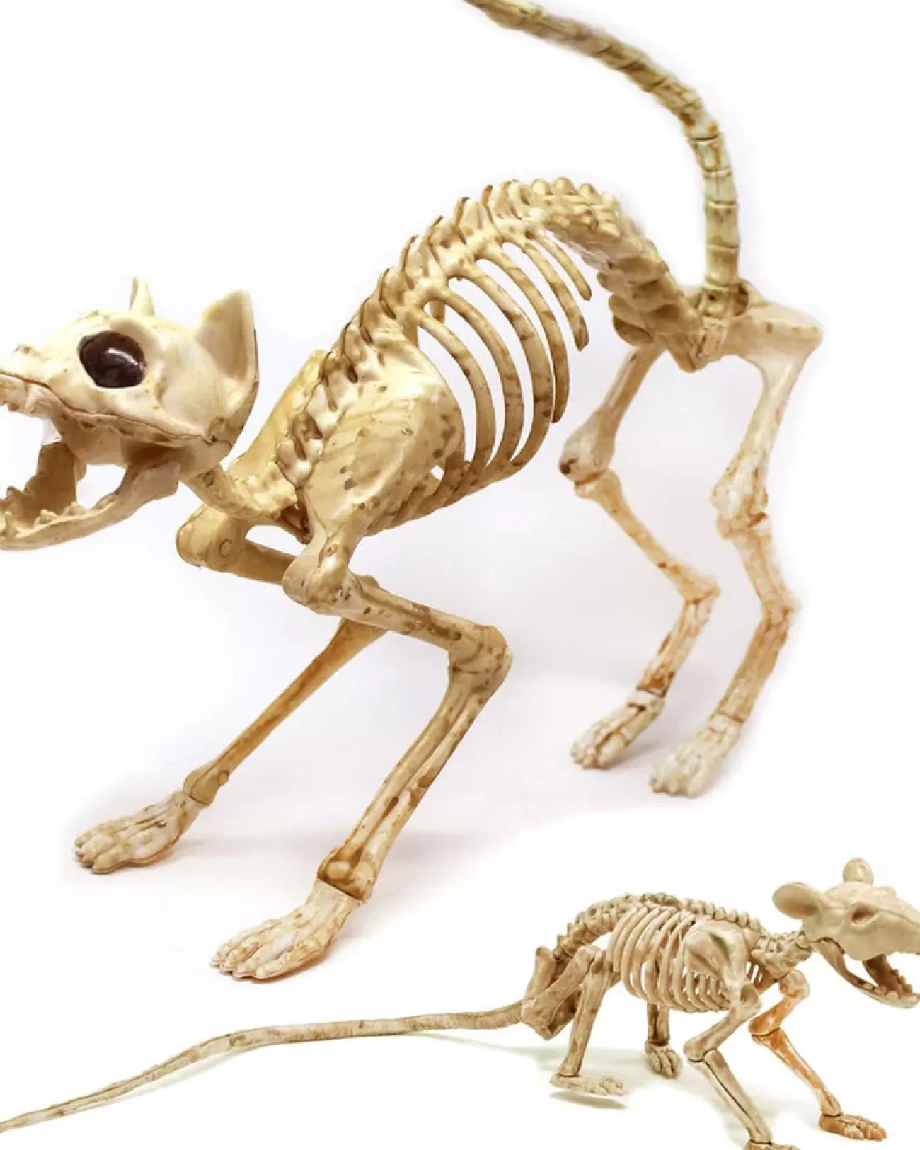 Joyin Skeleton Cat And Rat Set> Scary Skeletons