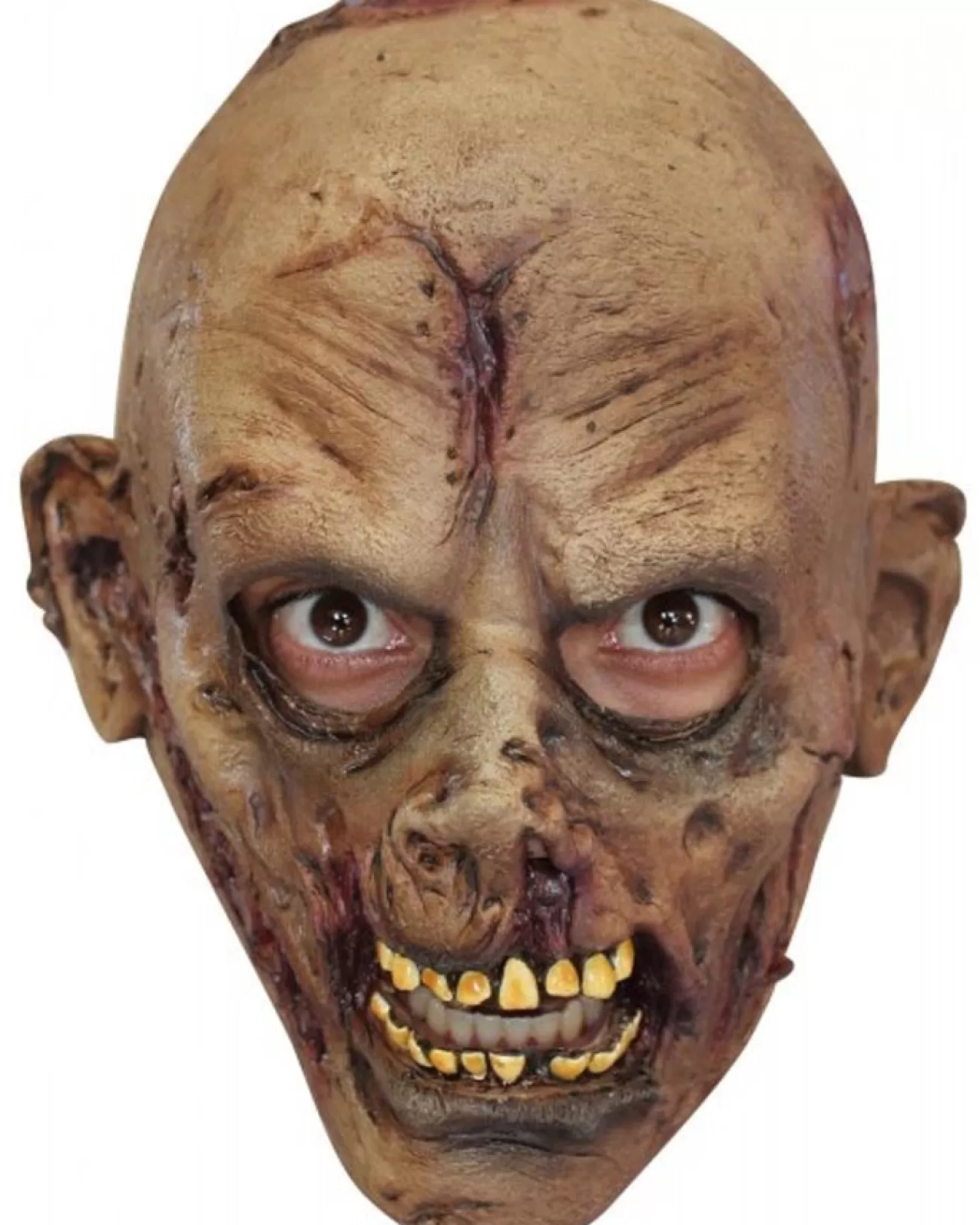 Ghoulish Productions Undead Zombie Boys Mask> Halloween Masks